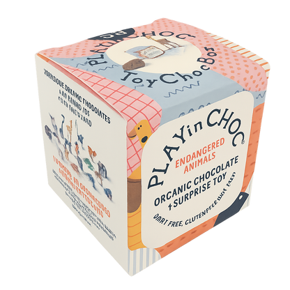 Dairy Free Chocolate Box (kids) (Pre-order)